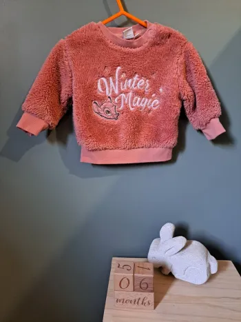Pull - Disney baby - 6 mois