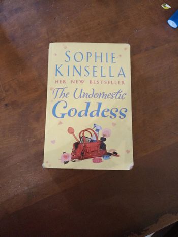 The undomestic Goddess