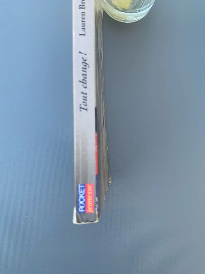 Heartland Tout change! Lauren Brooke - photo numéro 3