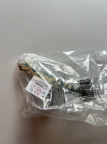 Figurine pachycep halosorus