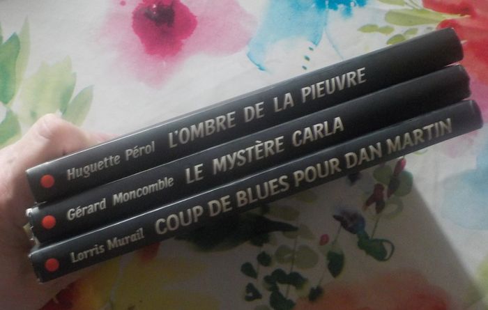 3 Cascade policier - photo numéro 3