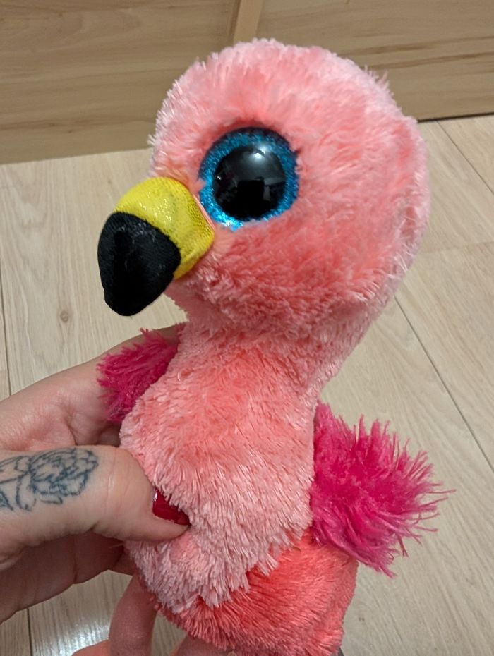 Flamand rose Ty - photo numéro 8