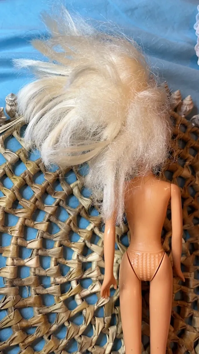 Barbie funville - photo numéro 5