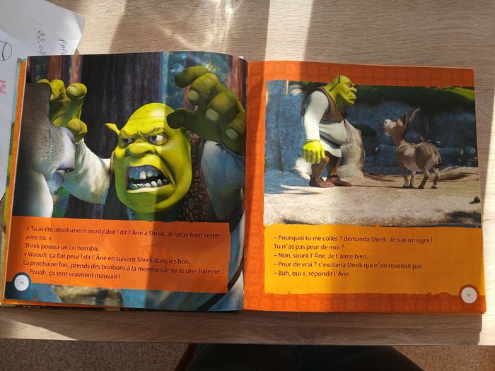Livre shrek - photo numéro 5