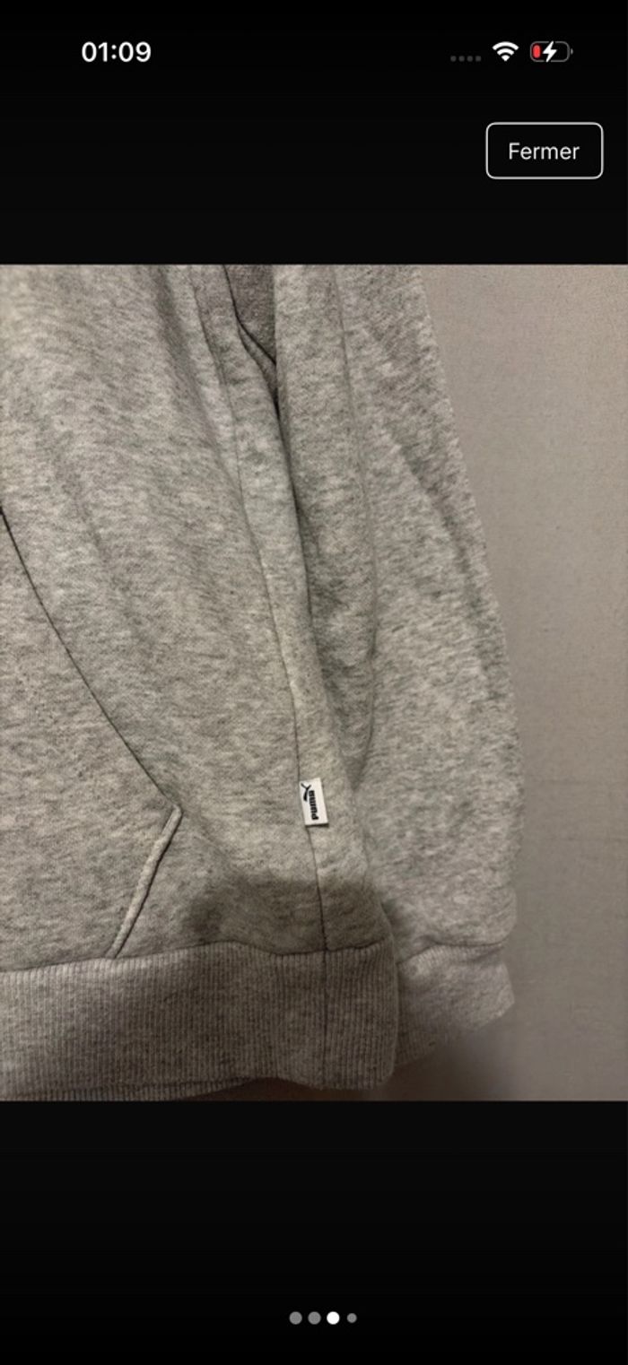 Pull puma - photo numéro 4