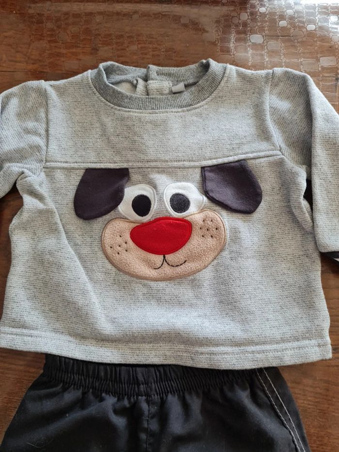 Ensemble chien 12 mois - photo numéro 3