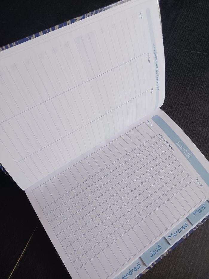Cahier de texte Pokemon - photo numéro 3