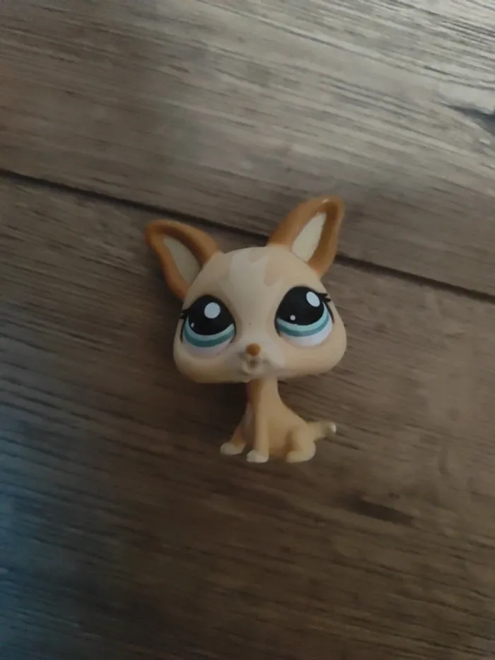Chien chihuahua LPS little Petshop