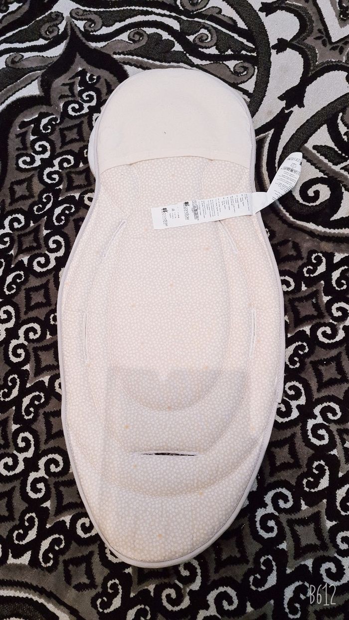 Cossin morphologique - photo numéro 2