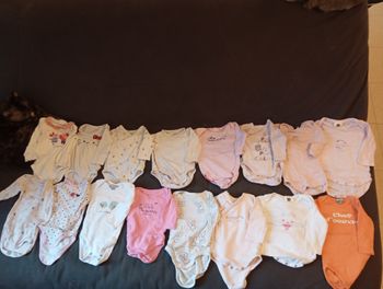 Lot 16 bodies 3 mois