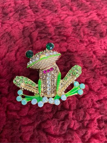 Broche grenouille 🐸