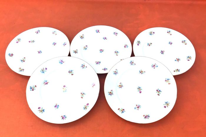5 assiettes plates anciennes  Porcelaine P.N France - photo numéro 4