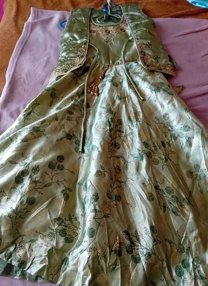 Robe indou - photo numéro 2