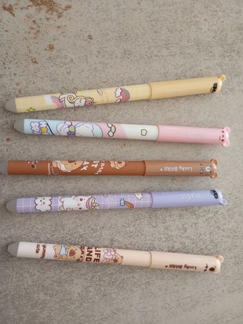 Lot de 5 stylos effaçables 