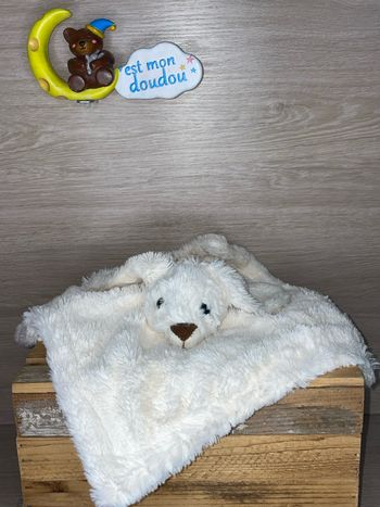 RGI20 doudou lapin 🐰 Han