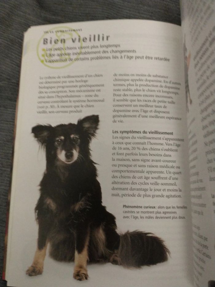 Le guide de référence du chien par docteur Bruce folge - photo numéro 5
