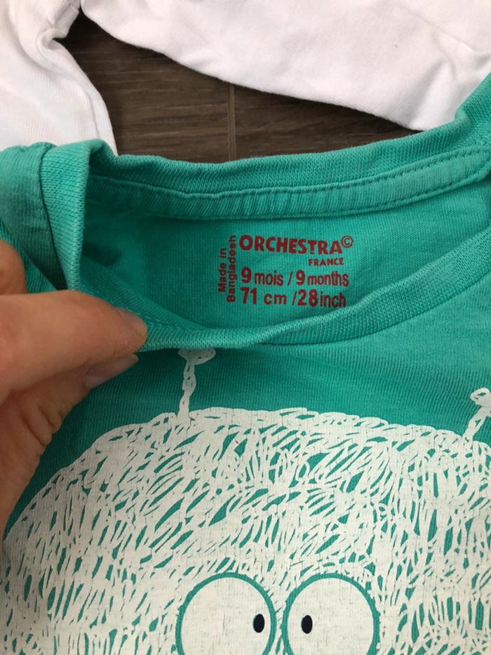 Lot 3 haut manches longues garçon ou mixte 9 mois - photo numéro 3