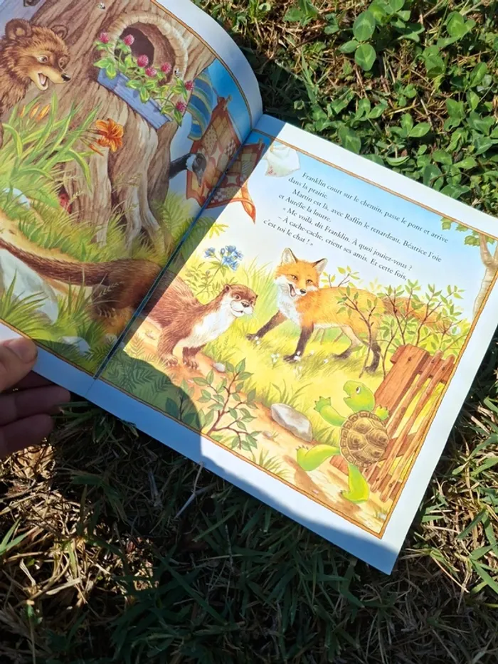 Livre franklin s est perdu - photo numéro 2