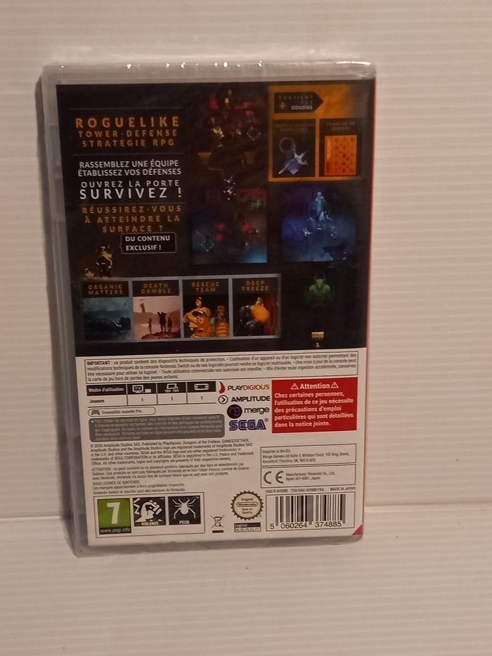 Switch dungeon endless - photo numéro 3