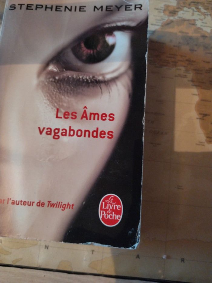 Livre Les âmes vagabondes - photo numéro 3