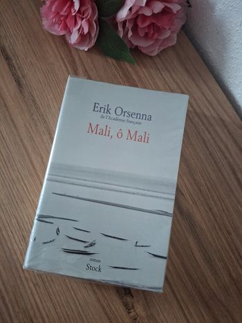 Livre : Mali, ô Mali - Erik Orsenna