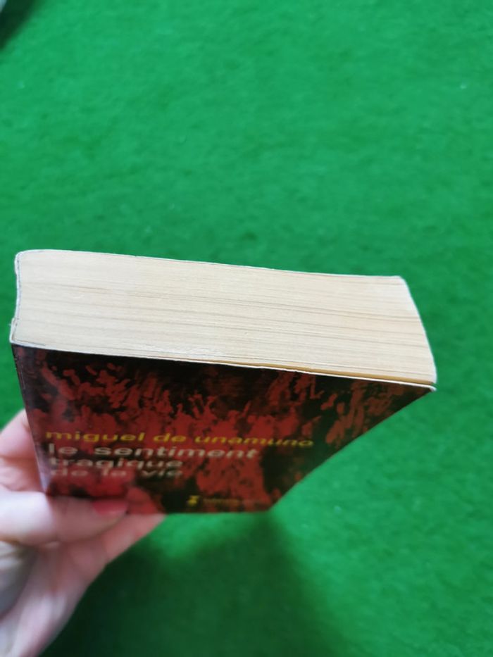 Le sentiment tragique de la vie, livre de Miguel de Unamuno - photo numéro 4