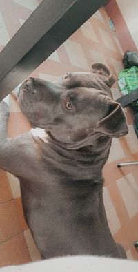 profil