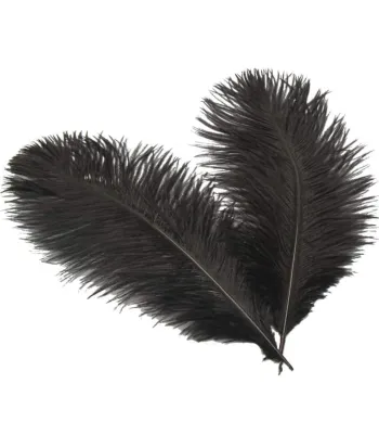 Plumes décoratives Craft & Diy noires Neuf