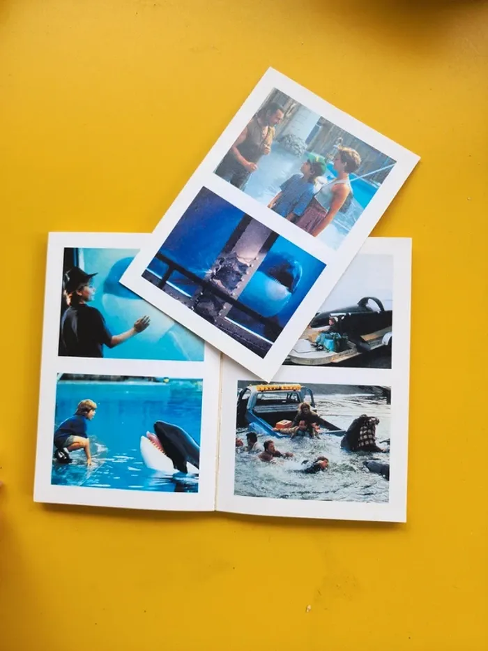 Livre de poche "sauvez Willy" de Jordan Horowitz - édition illustrée - photo numéro 7