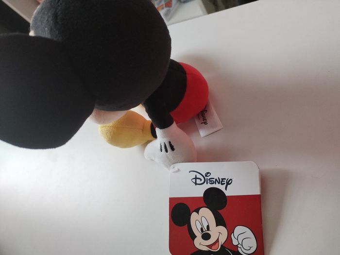 Mickey - photo numéro 8