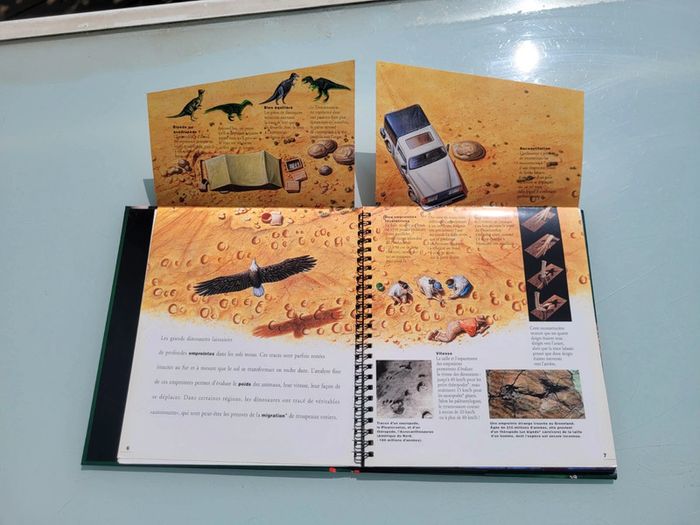 Livre animé de flaps Mi-oiseaux, mi-dragons, les dinosaures, Gallimard Jeunesse (47) - photo numéro 9