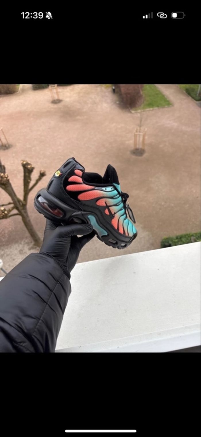 nike tn miami - photo numéro 4