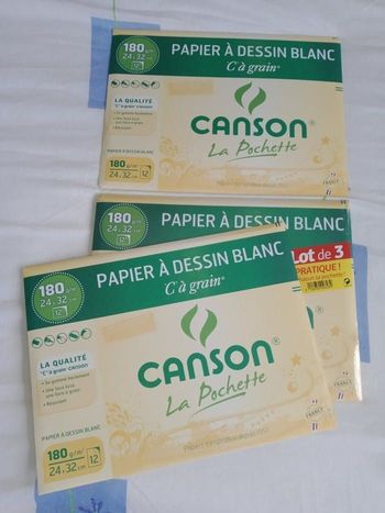 Papier à dessin blanc canson "c à grain" neuf
180g/M2
24x32 cm
12 feuilles