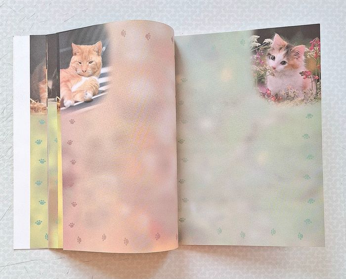 Set Papeterie - photo numéro 5