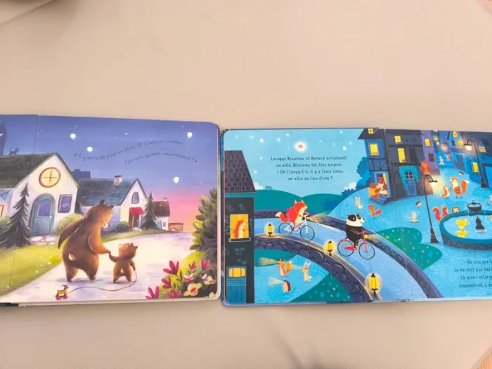 Livres usborne avec lumières - photo numéro 3