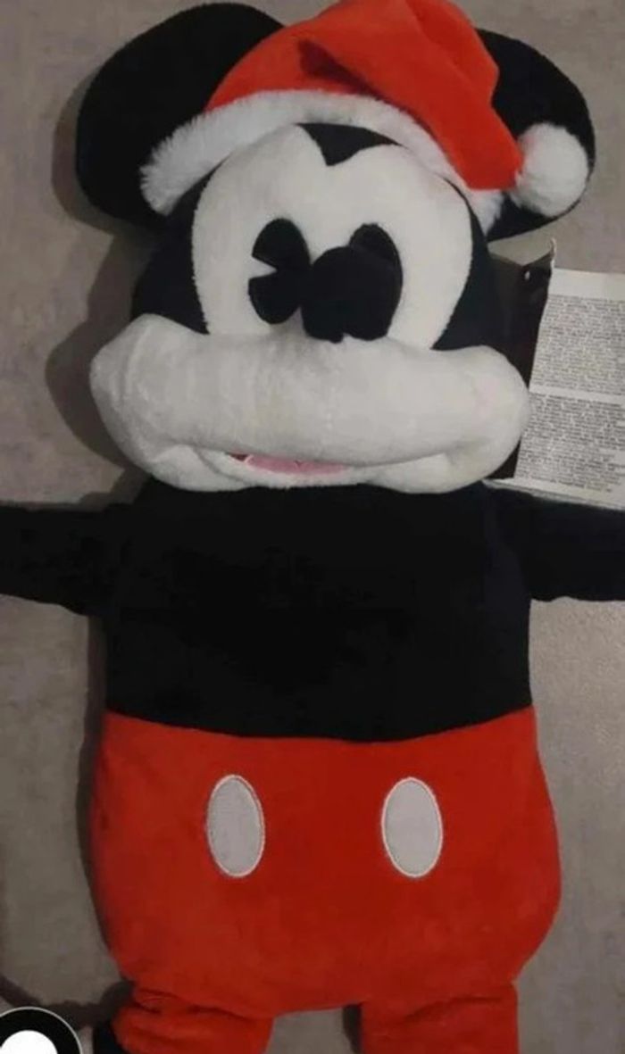 bouillote mickey 40cm - photo numéro 2