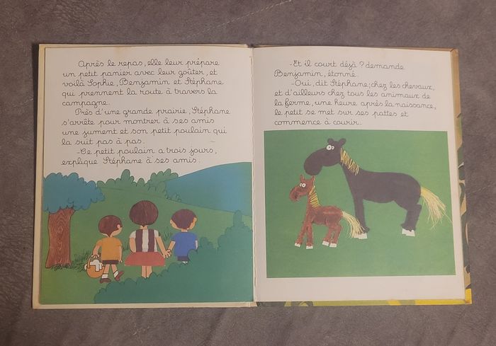 Benjamin à la campagne, La peur chez l'enfant Danblon Tamara et Anton - photo numéro 5