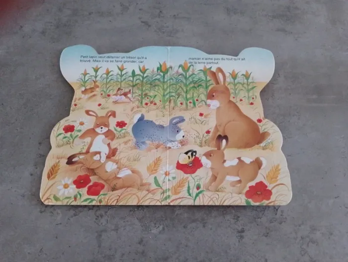 Livre - Mon petit lapin - photo numéro 3
