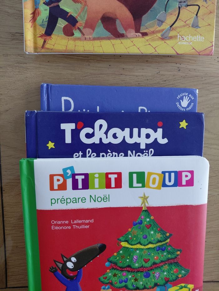 Lot livres - photo numéro 5