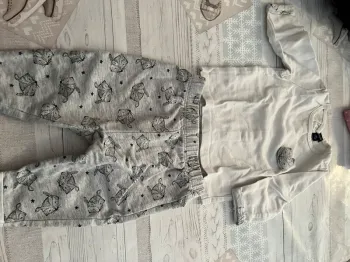 Ensemble