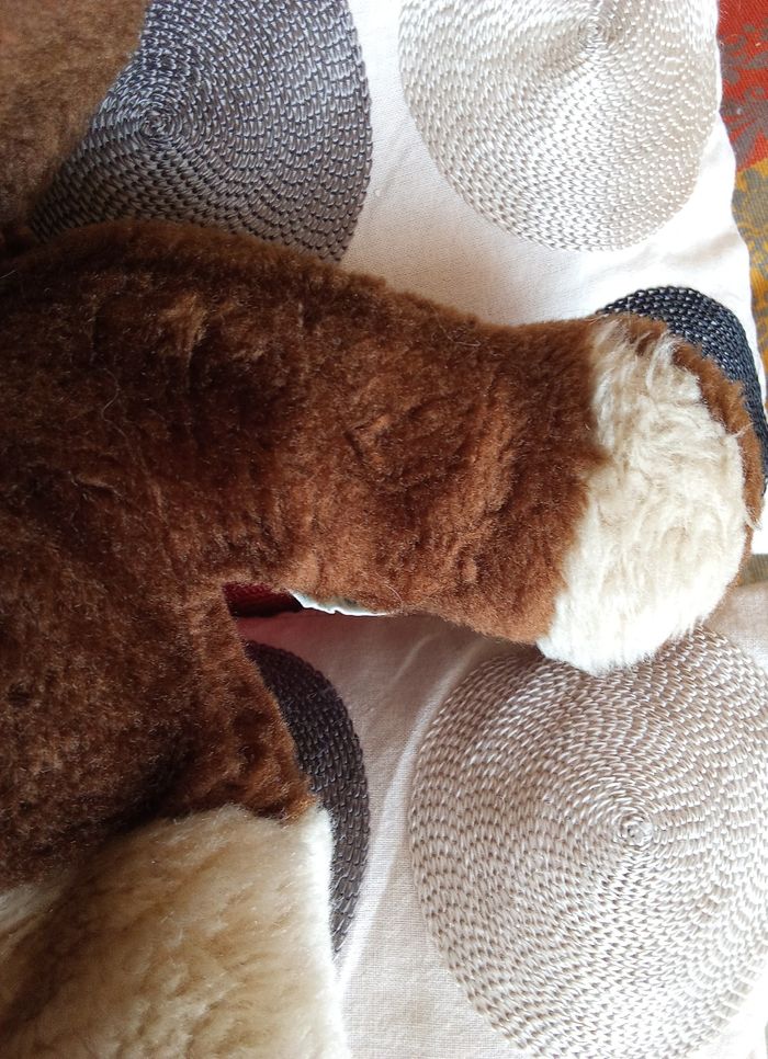 Peluche ours marron foncé / clair  beige   40 cm +/-  vintage ancien bel ours  ourson Boulgom  en posture debout  nez noir dur  yeux noirs en plastique - photo numéro 5