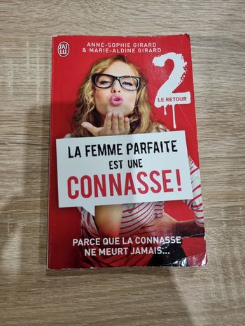 Livre la femme parfaite est une connasse 2