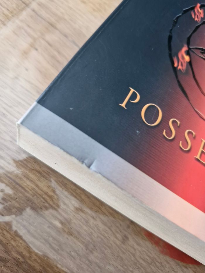 Possession de Nora Roberts - photo numéro 8