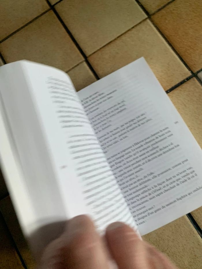 L aîné - photo numéro 7