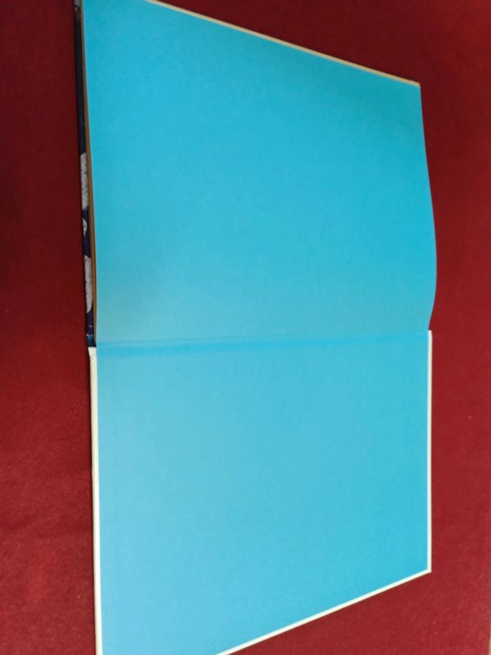 Chevaliers et châteaux " mes grandes découvertes " 6/9 ans - photo numéro 13