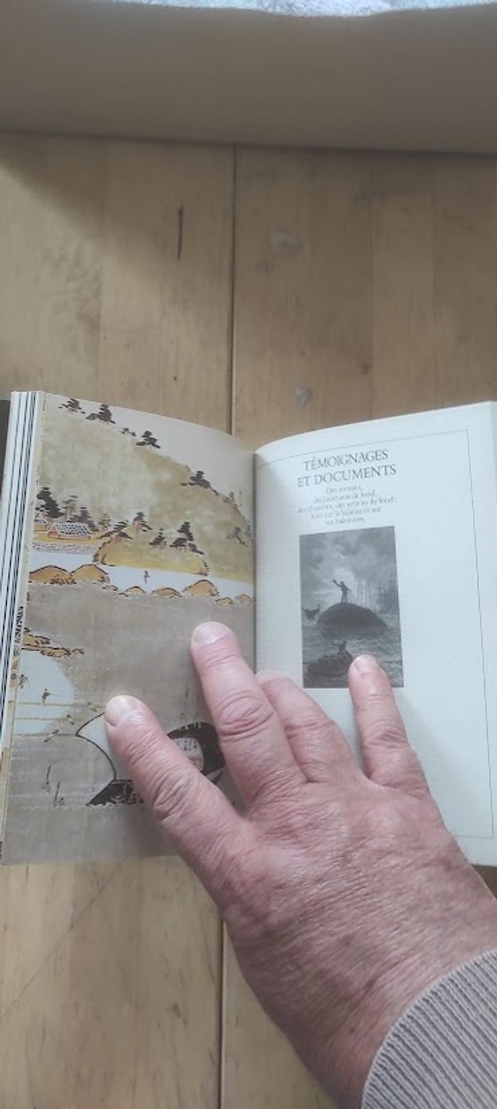 Vie et mort des baleines Yves Cohat Découvertes Gallimard 1986 - photo numéro 4