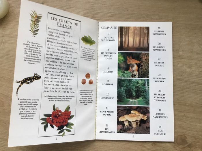 Livre « les forêts de France » - photo numéro 2