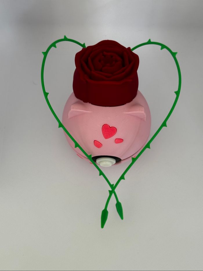 Pokeball bulbizard rose - photo numéro 5