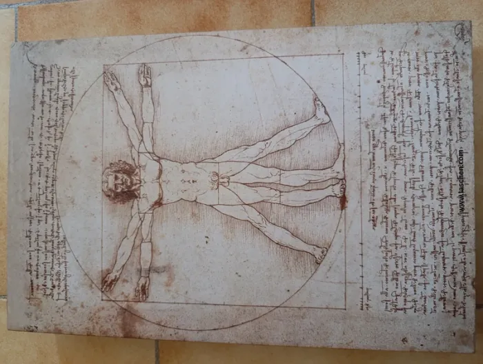 Livre de collection Léonard de Vinci "Tout l'œuvre peint et graphique" Taschen - photo numéro 3