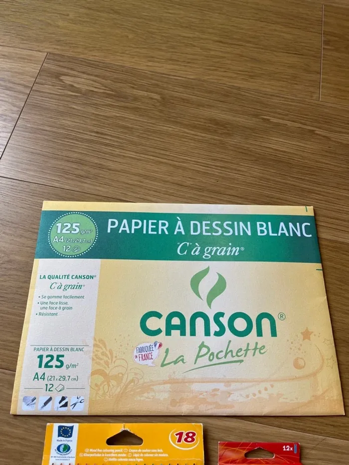 Papier Canson + crayon de couleur + pastels - photo numéro 2